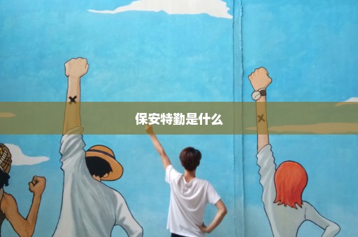 保安特勤是什么
