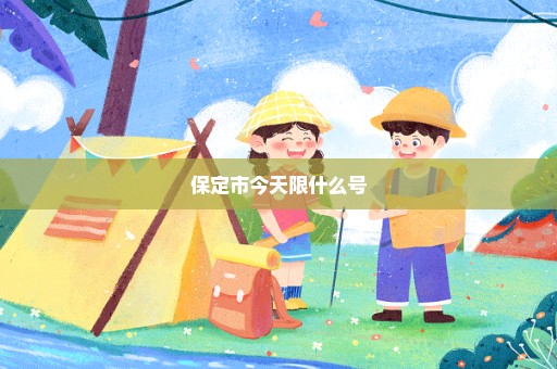 保定市今天限什么号