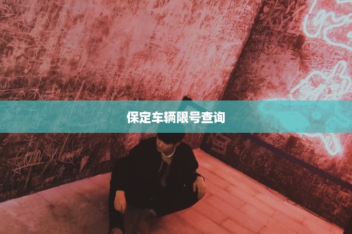 保定车辆限号查询