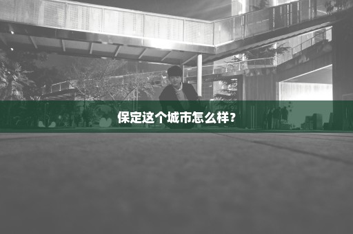 保定这个城市怎么样？