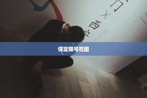 保定限号范围