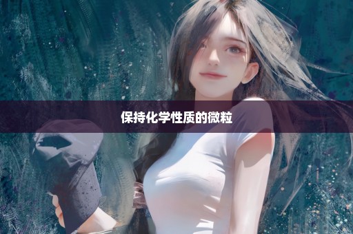 保持化学性质的微粒
