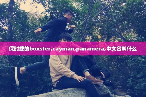 保时捷的boxster,cayman,panamera,中文名叫什么