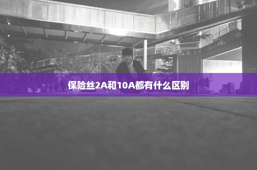 保险丝2A和10A都有什么区别