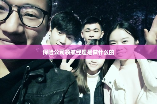 保险公司领航经理是做什么的