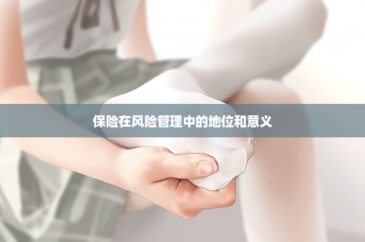 保险在风险管理中的地位和意义