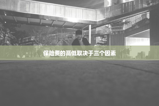 保险费的高低取决于三个因素