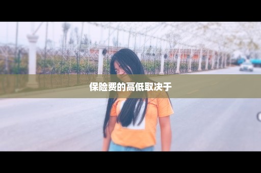 保险费的高低取决于