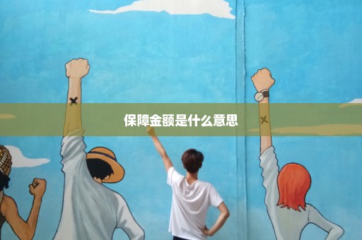 保障金额是什么意思