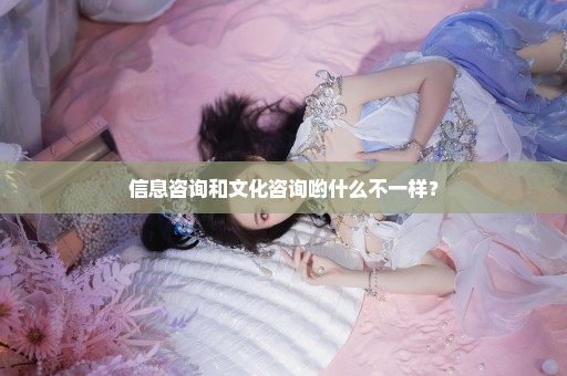 信息咨询和文化咨询哟什么不一样？