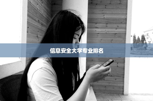 信息安全大学专业排名