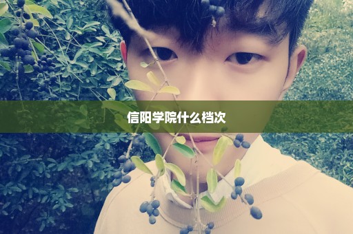 信阳学院什么档次