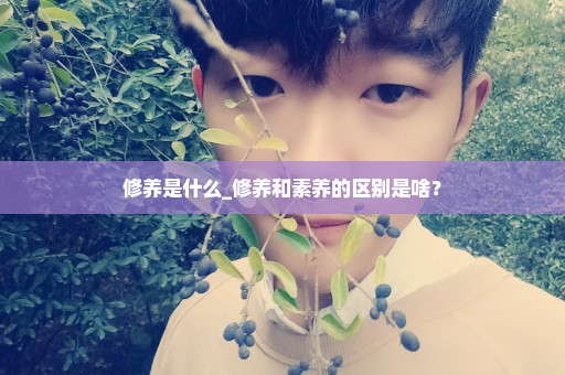 修养是什么_修养和素养的区别是啥？