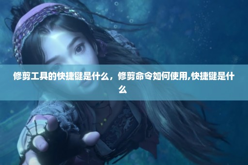 修剪工具的快捷键是什么，修剪命令如何使用,快捷键是什么 
