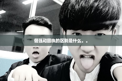 倔强和固执的区别是什么。。