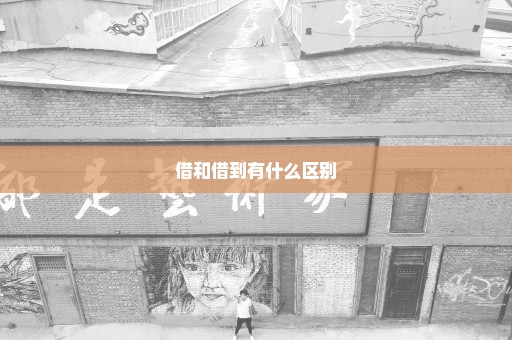 借和借到有什么区别