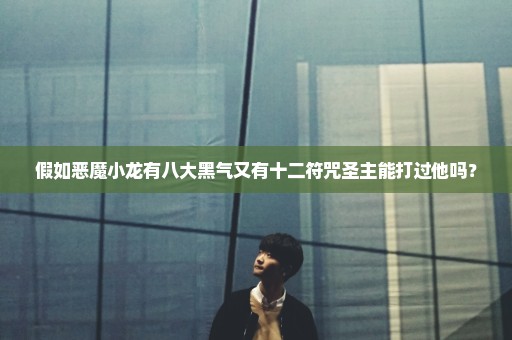 假如恶魔小龙有八大黑气又有十二符咒圣主能打过他吗？