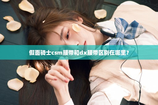 假面骑士csm腰带和dx腰带区别在哪里？