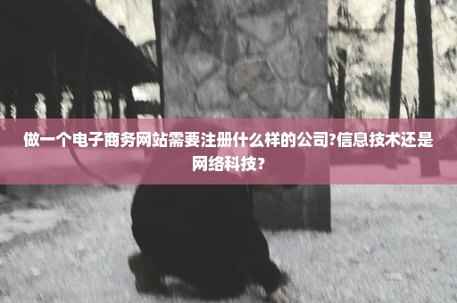 做一个电子商务网站需要注册什么样的公司?信息技术还是网络科技？