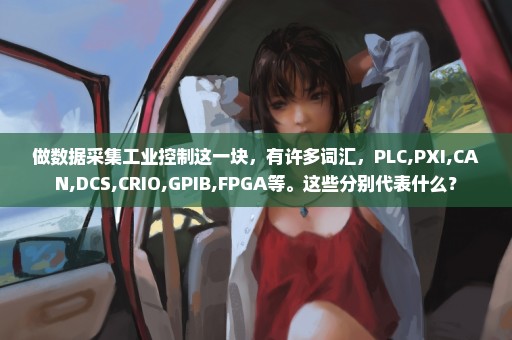 做数据采集工业控制这一块，有许多词汇，PLC,PXI,CAN,DCS,CRIO,GPIB,FPGA等。这些分别代表什么？
