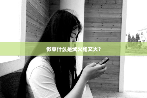 做菜什么是武火和文火？