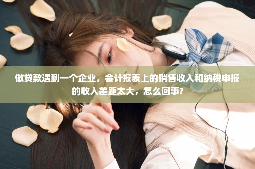 做贷款遇到一个企业，会计报表上的销售收入和纳税申报的收入差距太大，怎么回事?