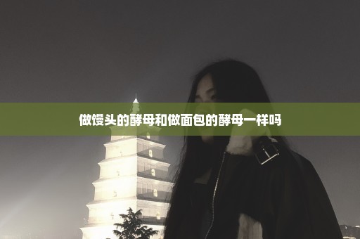 做馒头的酵母和做面包的酵母一样吗