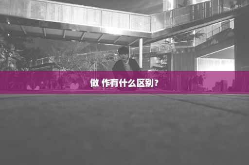 做 作有什么区别？