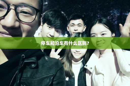 停车和泊车有什么区别？