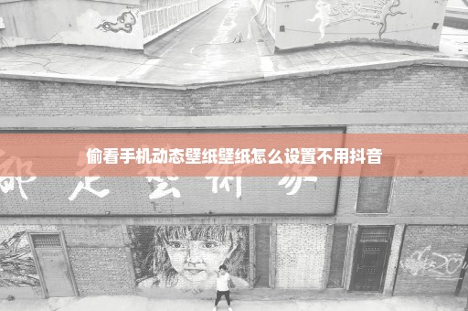 偷看手机动态壁纸壁纸怎么设置不用抖音