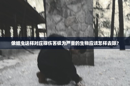 像蝗虫这样对庄稼伤害极为严重的生物应该怎样去除？