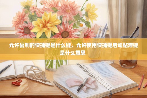 允许复制的快捷键是什么键，允许使用快捷键启动粘滞键是什么意思 