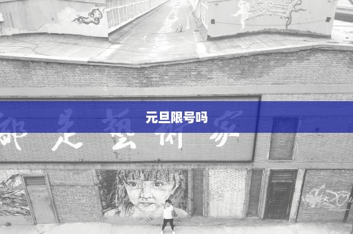 元旦限号吗