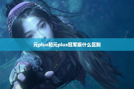 元plus和元plus冠军版什么区别