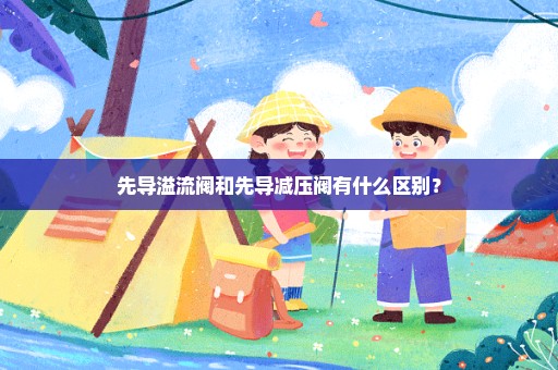 先导溢流阀和先导减压阀有什么区别？