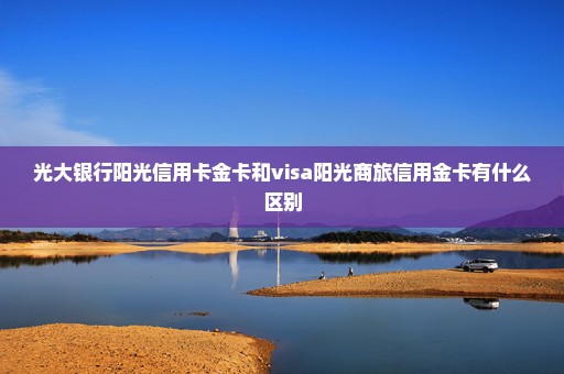 光大银行阳光信用卡金卡和visa阳光商旅信用金卡有什么区别