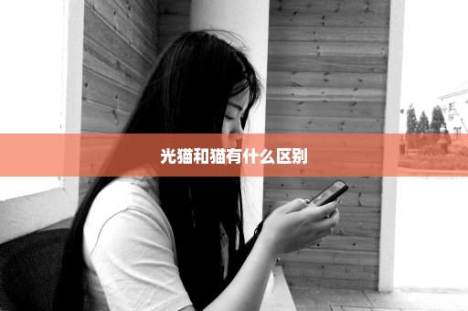 光猫和猫有什么区别