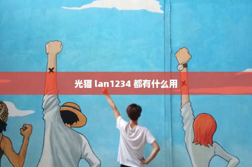 光猫 lan1234 都有什么用