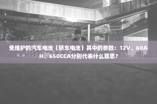 免维护的汽车电池（轿车电池）其中的参数：12V、60AH、650CCA分别代表什么意思？