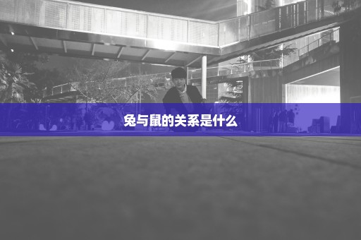 兔与鼠的关系是什么