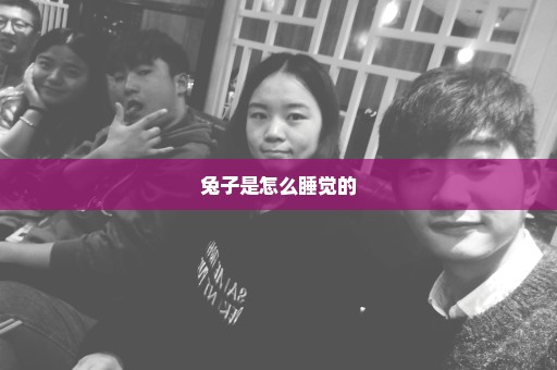 兔子是怎么睡觉的