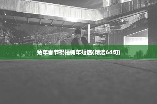 兔年春节祝福新年短信(精选64句)