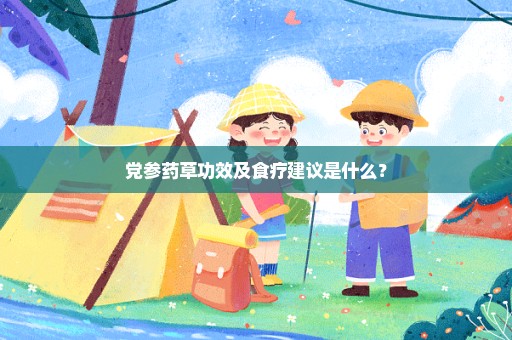 党参药草功效及食疗建议是什么？