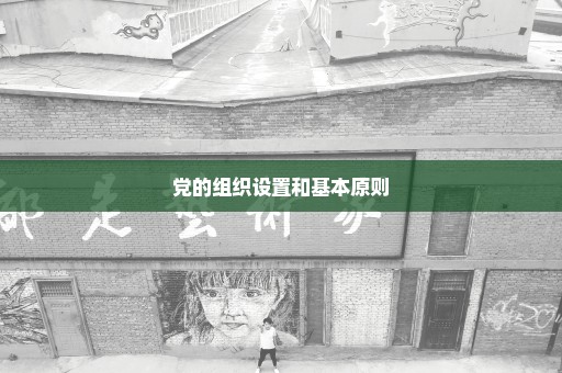 党的组织设置和基本原则