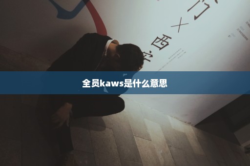 全员kaws是什么意思
