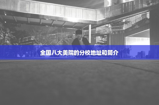 全国八大美院的分校地址和简介