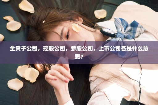 全资子公司，控股公司，参股公司，上市公司各是什么意思？