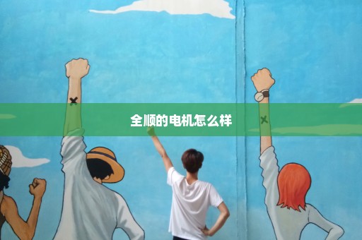 全顺的电机怎么样