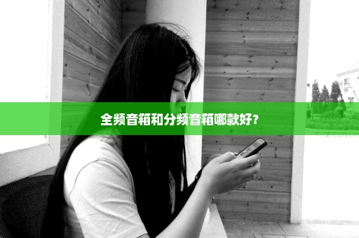 全频音箱和分频音箱哪款好？