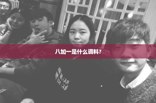 八加一是什么调料?